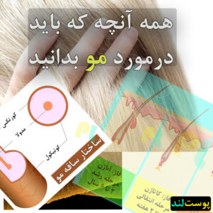 همه آنچه که باید درباره مو بدانید